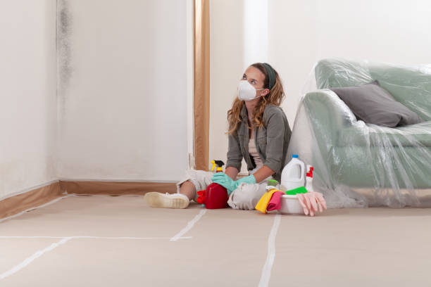 Reliable Mold Remediation contractor in Loveland, CO by WQB Mold Removal